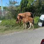 Photo taken by Don M