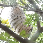 Photo taken by Graeme W