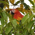 Photo taken by Graeme W