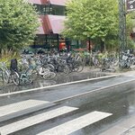 Photo taken by Meryl F