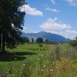 Te Aroha - the mountain of love | Photo taken by Clare F