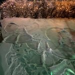 Photo taken by Paula M