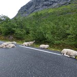 Photo taken by Dani L