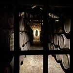 Photo taken by Steven C