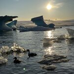 Photo taken by Juzer N