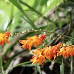 Photo taken by Miranda M