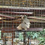 Photo taken by Kathy D