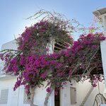 Photo taken by David B