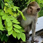 Photo taken by Nancy P