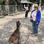 Photo taken by Norma M