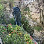 Photo taken by Amanda H