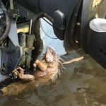 Photo taken by Cassio S