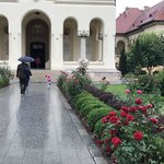 Photo taken by Anne L