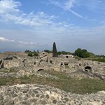 Photo taken by Michelle P