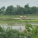 Relaxing | Photo taken by Rachael W