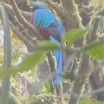 Photo taken by Joyce C