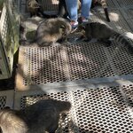 Photo taken by Graciela P