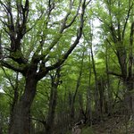 Photo taken by Mariellen S