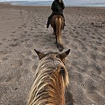 Photo taken by kirsten b