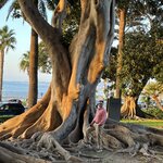 Photo taken by Paul M