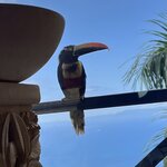 Photo taken by Charles H