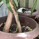 Photo taken by Angela R