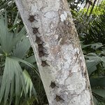 Photo taken by Ora Y