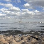 Photo taken by Timothy R