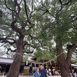 Photo taken by Ray S