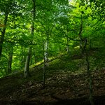 Photo taken by Eric T