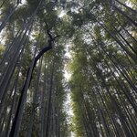 Photo taken by Ashley S