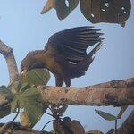 Photo taken by Breann B