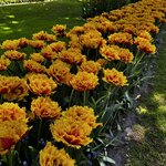 Photo taken by Nancy M