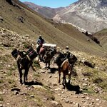 Photo taken by Donna W