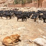 Photo taken by Kristy T