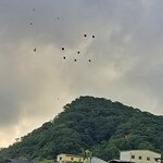 Photo taken by John Mark W