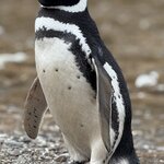 Photo taken by Sharon B