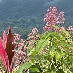 Photo taken by prakash m