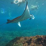 Photo taken by Jason C