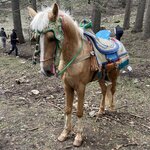 Photo taken by Leslie P