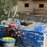 Photo taken by Betsy V