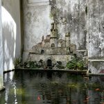 Photo taken by Mary A