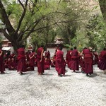 Debating monks at the Sera Monastery in Tibet | Photo taken by Andrew B