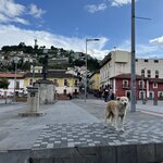 Photo taken by Breann B