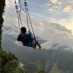 Photo taken by Narasimhachar P