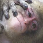 Photo taken by Paul R