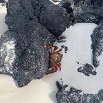 Photo taken by Stephanie A