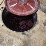 Photo taken by Melody B