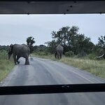 Photo taken by Christopher F