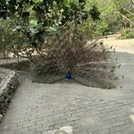 Photo taken by Miguel T